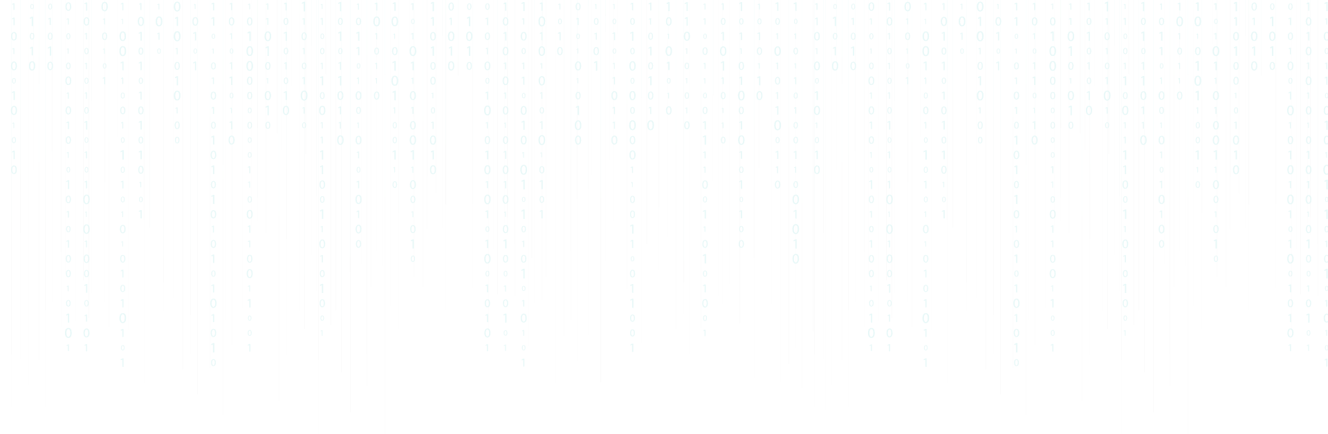 Expert {Full Stack}Web & App developer